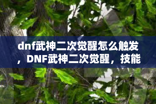 dnf武神二次觉醒怎么触发,DNF武神二次觉醒,技能革新与战斗体验的深度解析 dnf武神二次觉醒怎么触发,DNF武神二次觉醒,技能革新与战斗体验的深度解析
