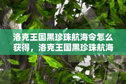 洛克王国黑珍珠航海令怎么获得,洛克王国黑珍珠航海令获取攻略 洛克王国黑珍珠航海令怎么获得,洛克王国黑珍珠航海令获取攻略
