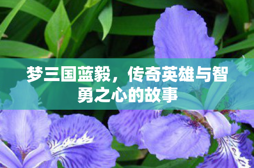 梦三国蓝毅,传奇英雄与智勇之心的故事 梦三国蓝毅,传奇英雄与智勇之心的故事