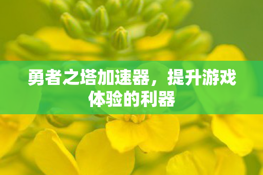 勇者之塔加速器,提升游戏体验的利器 勇者之塔加速器,提升游戏体验的利器
