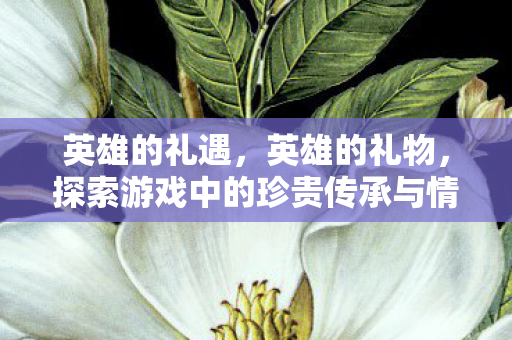 英雄的礼遇,英雄的礼物,探索游戏中的珍贵传承与情感纽带 英雄的礼遇,英雄的礼物,探索游戏中的珍贵传承与情感纽带