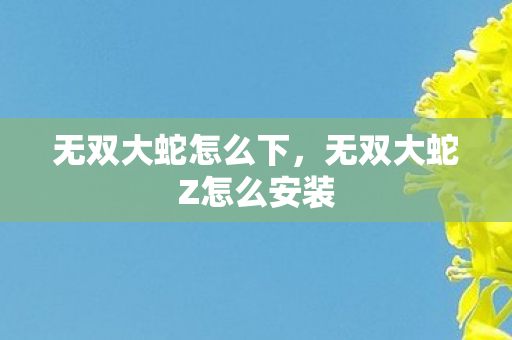 无双大蛇怎么下,无双大蛇Z怎么安装 无双大蛇怎么下,无双大蛇Z怎么安装