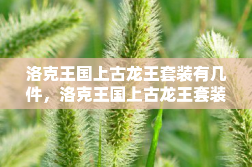 洛克王国上古龙王套装有几件,洛克王国上古龙王套装,探寻神秘力量的起源 洛克王国上古龙王套装有几件,洛克王国上古龙王套装,探寻神秘力量的起源