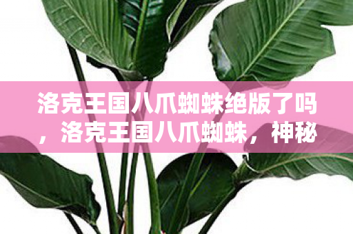 洛克王国八爪蜘蛛绝版了吗,洛克王国八爪蜘蛛,神秘而强大的宠物 洛克王国八爪蜘蛛绝版了吗,洛克王国八爪蜘蛛,神秘而强大的宠物