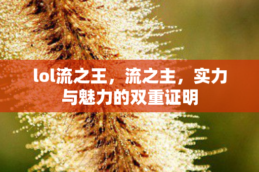 lol流之王,流之主,实力与魅力的双重证明 lol流之王,流之主,实力与魅力的双重证明