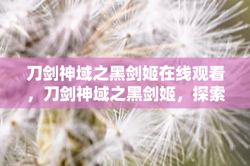 刀剑神域之黑剑姬在线观看,刀剑神域之黑剑姬,探索虚拟世界的剑与魔法 刀剑神域之黑剑姬在线观看,刀剑神域之黑剑姬,探索虚拟世界的剑与魔法