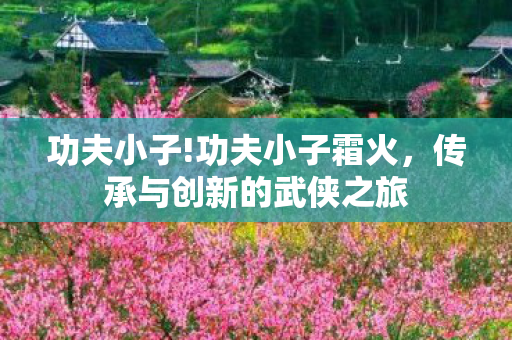 功夫小子!功夫小子霜火，传承与创新的武侠之旅
