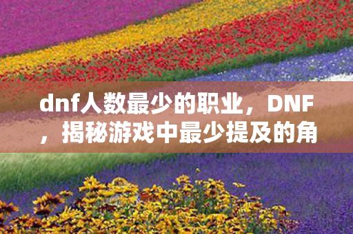 dnf人数最少的职业,DNF,揭秘游戏中最少提及的角色—神秘的暗影法师 dnf人数最少的职业,DNF,揭秘游戏中最少提及的角色—神秘的暗影法师