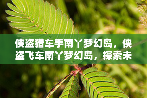 侠盗猎车手南丫梦幻岛,侠盗飞车南丫梦幻岛,探索未知海域的冒险之旅 侠盗猎车手南丫梦幻岛,侠盗飞车南丫梦幻岛,探索未知海域的冒险之旅