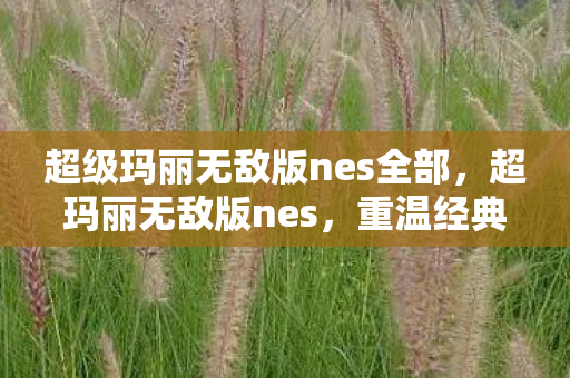 超级玛丽无敌版nes全部,超玛丽无敌版nes,重温经典,畅享无限乐趣 超级玛丽无敌版nes全部,超玛丽无敌版nes,重温经典,畅享无限乐趣