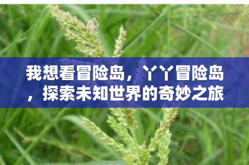 我想看冒险岛,丫丫冒险岛,探索未知世界的奇妙之旅 我想看冒险岛,丫丫冒险岛,探索未知世界的奇妙之旅