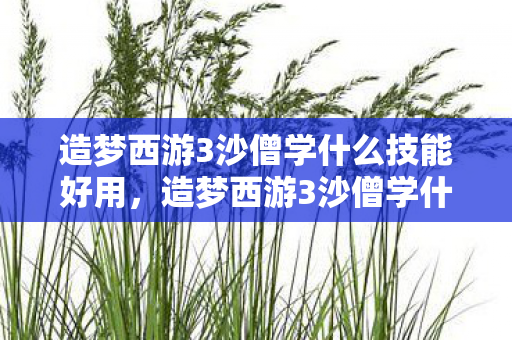 造梦西游3沙僧学什么技能好用,造梦西游3沙僧学什么技能好 造梦西游3沙僧学什么技能好用,造梦西游3沙僧学什么技能好