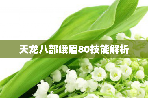 天龙八部峨眉80技能解析 天龙八部峨眉80技能解析