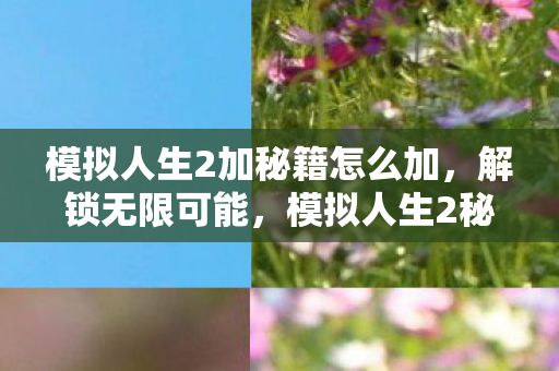 模拟人生2加秘籍怎么加,解锁无限可能,模拟人生2秘籍大揭秘 模拟人生2加秘籍怎么加,解锁无限可能,模拟人生2秘籍大揭秘