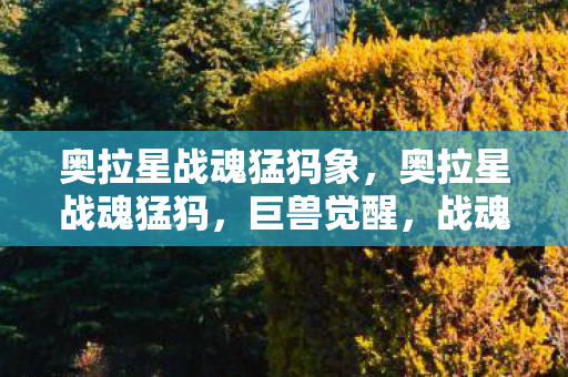 奥拉星战魂猛犸象,奥拉星战魂猛犸,巨兽觉醒,战魂燃烧 奥拉星战魂猛犸象,奥拉星战魂猛犸,巨兽觉醒,战魂燃烧