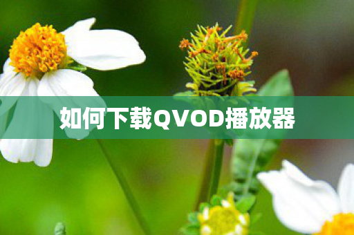 如何下载QVOD播放器 如何下载QVOD播放器
