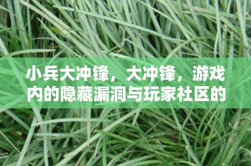小兵大冲锋,大冲锋,游戏内的隐藏漏洞与玩家社区的应对策略 小兵大冲锋,大冲锋,游戏内的隐藏漏洞与玩家社区的应对策略