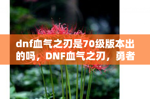 dnf血气之刃是70级版本出的吗,DNF血气之刃,勇者的战斗艺术 dnf血气之刃是70级版本出的吗,DNF血气之刃,勇者的战斗艺术
