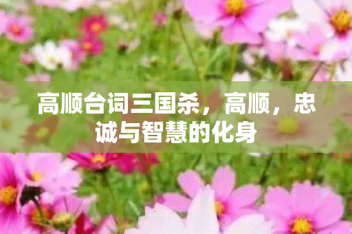 高顺台词三国杀，高顺，忠诚与智慧的化身