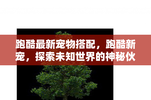 跑酷最新宠物搭配，跑酷新宠，探索未知世界的神秘伙伴