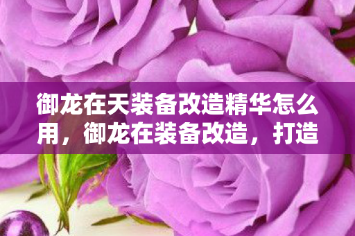 御龙在天装备改造精华怎么用，御龙在装备改造，打造独一无二的神兵利器