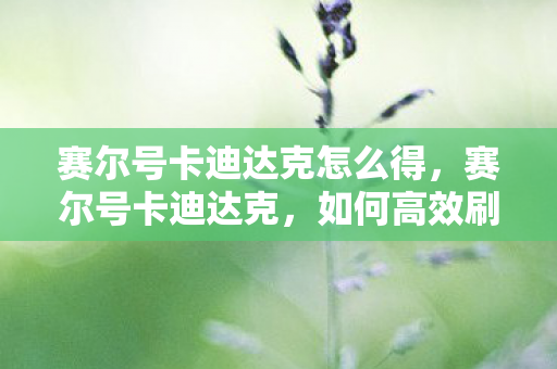 赛尔号卡迪达克怎么得，赛尔号卡迪达克，如何高效刷取强力精灵