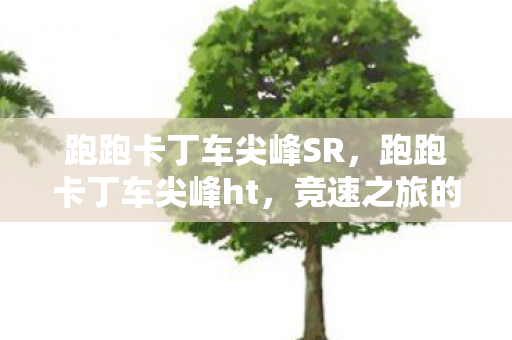 跑跑卡丁车尖峰SR,跑跑卡丁车尖峰ht,竞速之旅的极致体验 跑跑卡丁车尖峰SR,跑跑卡丁车尖峰ht,竞速之旅的极致体验