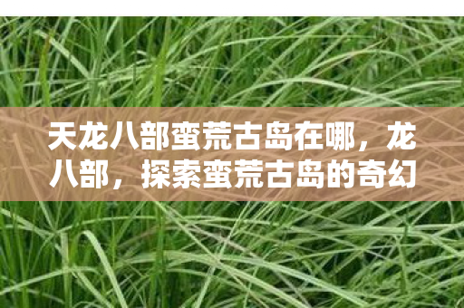天龙八部蛮荒古岛在哪,龙八部,探索蛮荒古岛的奇幻之旅 天龙八部蛮荒古岛在哪,龙八部,探索蛮荒古岛的奇幻之旅