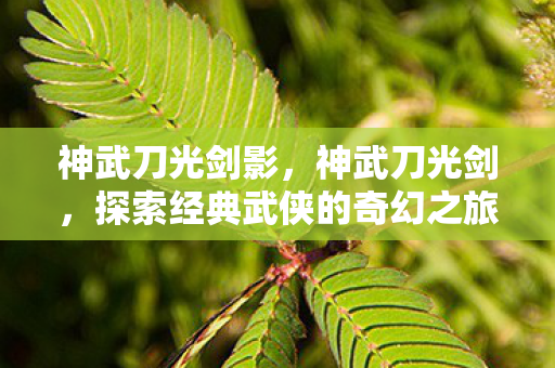 神武刀光剑影,神武刀光剑,探索经典武侠的奇幻之旅 神武刀光剑影,神武刀光剑,探索经典武侠的奇幻之旅