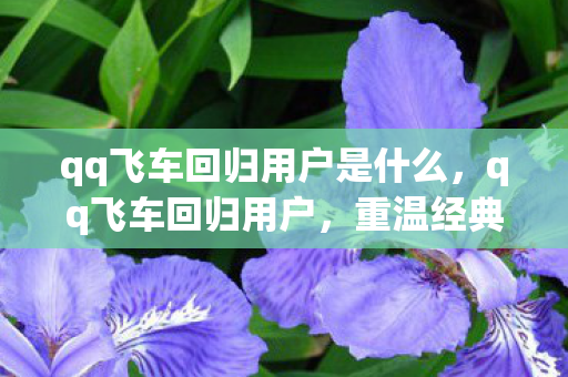 qq飞车回归用户是什么,qq飞车回归用户,重温经典,再燃速度与激情 qq飞车回归用户是什么,qq飞车回归用户,重温经典,再燃速度与激情