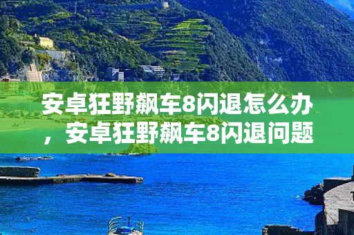 安卓狂野飙车8闪退怎么办,安卓狂野飙车8闪退问题深度解析 安卓狂野飙车8闪退怎么办,安卓狂野飙车8闪退问题深度解析
