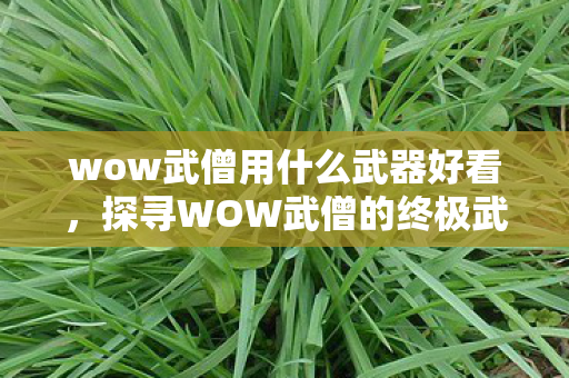 wow武僧用什么武器好看,探寻WOW武僧的终极武器,揭秘三大神器 wow武僧用什么武器好看,探寻WOW武僧的终极武器,揭秘三大神器