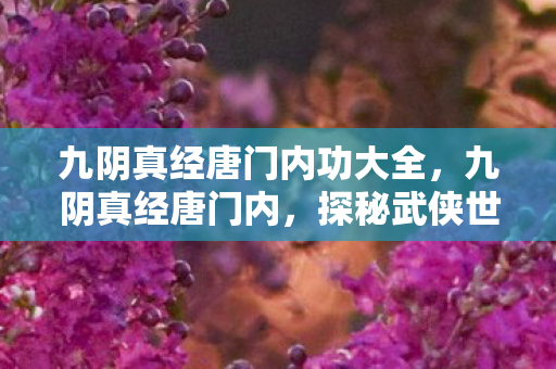 九阴真经唐门内功大全，九阴真经唐门内，探秘武侠世界的隐秘角落