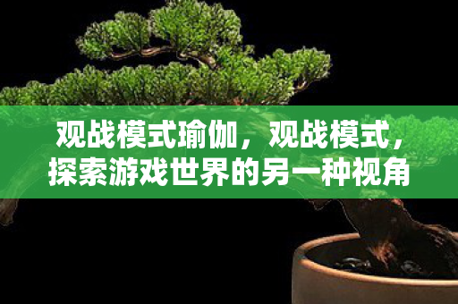 观战模式瑜伽，观战模式，探索游戏世界的另一种视角