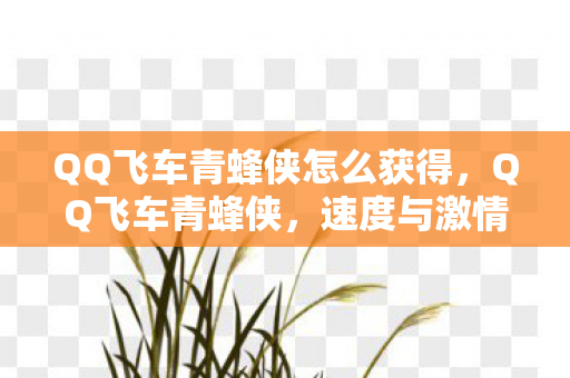 QQ飞车青蜂侠怎么获得,QQ飞车青蜂侠,速度与激情的完美结合 QQ飞车青蜂侠怎么获得,QQ飞车青蜂侠,速度与激情的完美结合