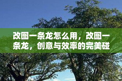 改图一条龙怎么用,改图一条龙,创意与效率的完美碰撞 改图一条龙怎么用,改图一条龙,创意与效率的完美碰撞