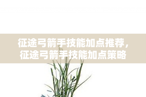征途弓箭手技能加点推荐，征途弓箭手技能加点策略