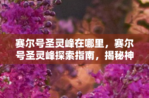 赛尔号圣灵峰在哪里,赛尔号圣灵峰探索指南,揭秘神秘地点的位置与特色 赛尔号圣灵峰在哪里,赛尔号圣灵峰探索指南,揭秘神秘地点的位置与特色
