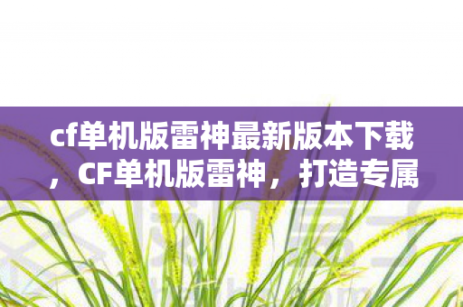 cf单机版雷神最新版本下载,CF单机版雷神,打造专属游戏世界的奇妙之旅 cf单机版雷神最新版本下载,CF单机版雷神,打造专属游戏世界的奇妙之旅