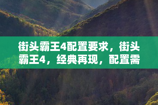 街头霸王4配置要求,街头霸王4,经典再现,配置需求解析 街头霸王4配置要求,街头霸王4,经典再现,配置需求解析