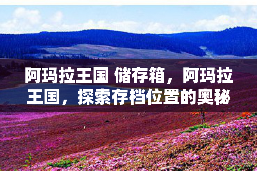阿玛拉王国 储存箱，阿玛拉王国，探索存档位置的奥秘