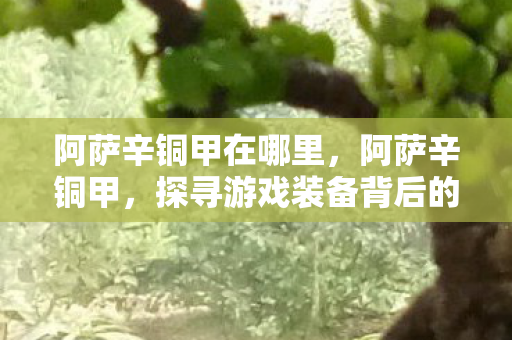 阿萨辛铜甲在哪里,阿萨辛铜甲,探寻游戏装备背后的传奇故事 阿萨辛铜甲在哪里,阿萨辛铜甲,探寻游戏装备背后的传奇故事