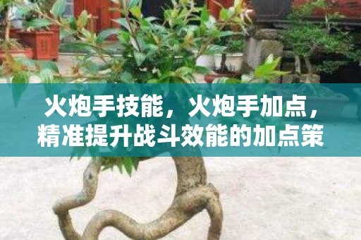火炮手技能,火炮手加点,精准提升战斗效能的加点策略 火炮手技能,火炮手加点,精准提升战斗效能的加点策略