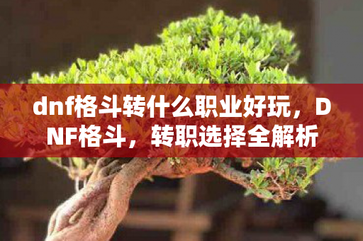 dnf格斗转什么职业好玩,DNF格斗,转职选择全解析—打造你的专属战斗风格 dnf格斗转什么职业好玩,DNF格斗,转职选择全解析—打造你的专属战斗风格