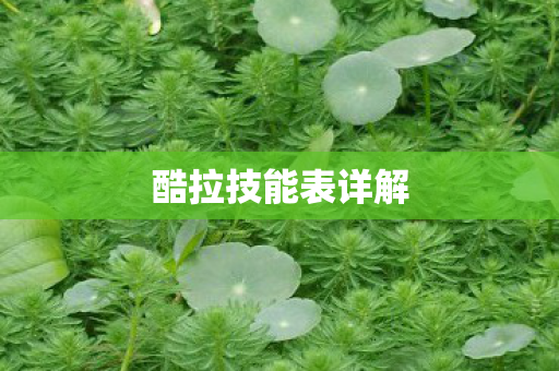 酷拉技能表详解 酷拉技能表详解