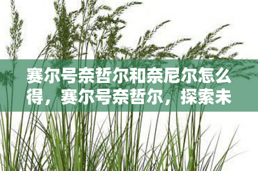 赛尔号奈哲尔和奈尼尔怎么得,赛尔号奈哲尔,探索未知宇宙的奇妙之旅 赛尔号奈哲尔和奈尼尔怎么得,赛尔号奈哲尔,探索未知宇宙的奇妙之旅