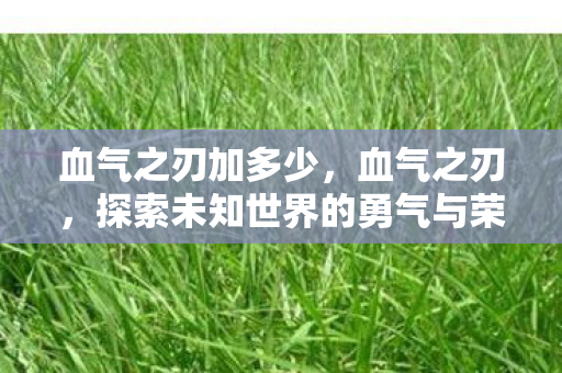 血气之刃加多少,血气之刃,探索未知世界的勇气与荣耀 血气之刃加多少,血气之刃,探索未知世界的勇气与荣耀