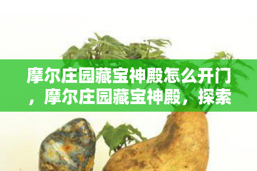 摩尔庄园藏宝神殿怎么开门，摩尔庄园藏宝神殿，探索神秘宝藏的奇幻之旅