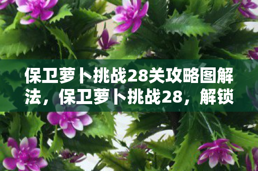 保卫萝卜挑战28关攻略图解法,保卫萝卜挑战28,解锁新关卡,策略与乐趣并存 保卫萝卜挑战28关攻略图解法,保卫萝卜挑战28,解锁新关卡,策略与乐趣并存