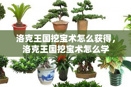 洛克王国挖宝术怎么获得，洛克王国挖宝术怎么学